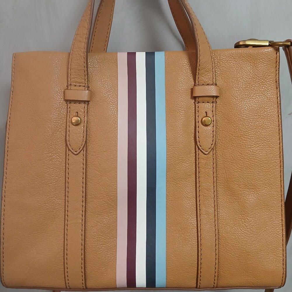 Fossil Tan Satchel with Striped Accent